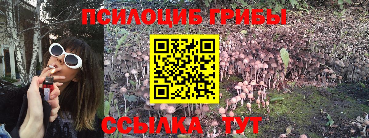 Дмитров  Галлюциногенные грибы Cubensis  Вход с VPN  наркошоп  Псилоцибиновые грибы Magic Shrooms 