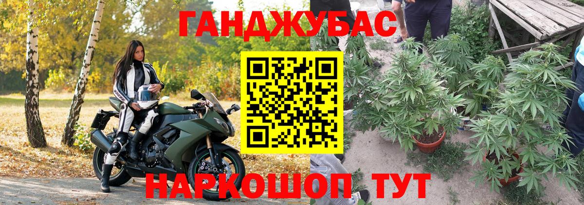 Бошки Шишки марихуана Дмитров